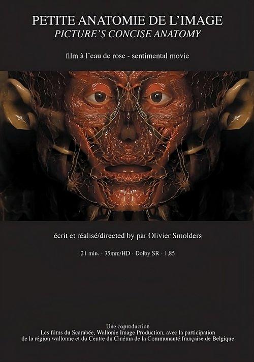 Petite anatomie de l'image