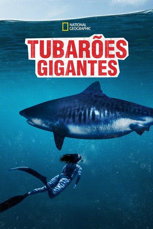 Tubarões Gigantes