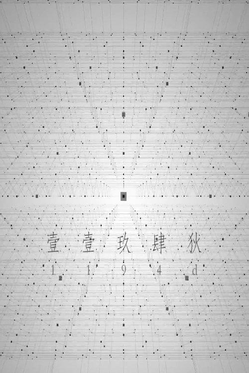 1194D