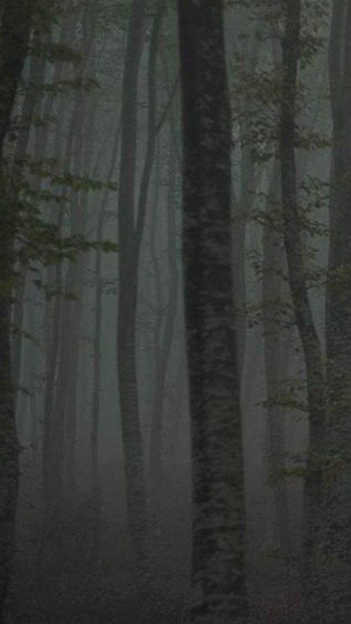 Καταφύγιο II: Το μονοπάτι του πάγου