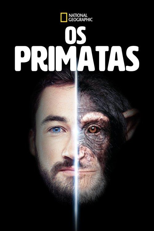 Os Primatas