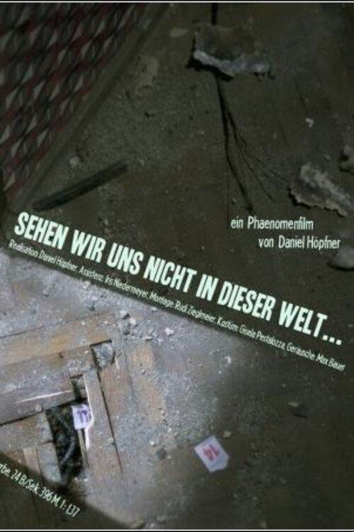 Sehen wir uns nicht in dieser Welt...
