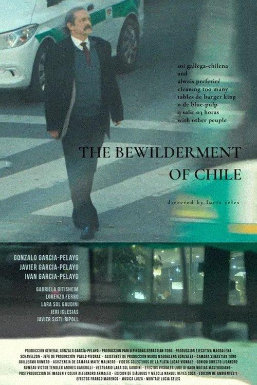 the bewilderment of chile