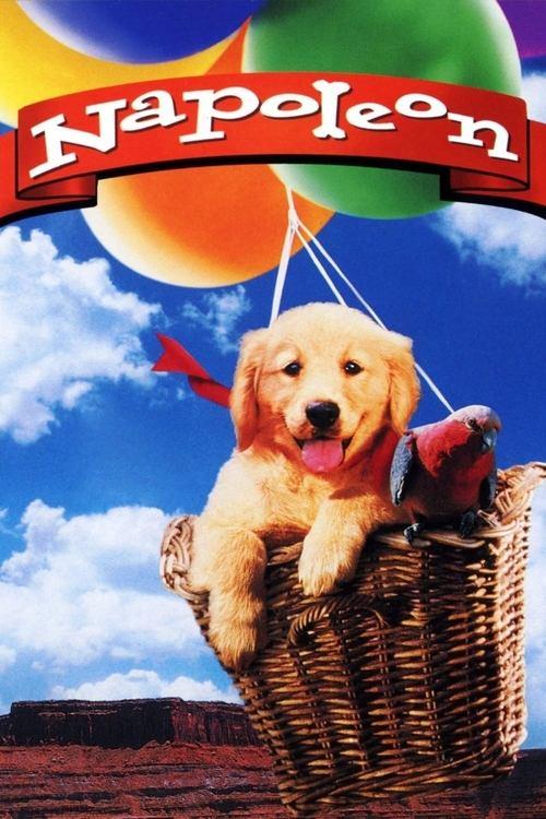 Um Cãozinho Chamado Napoleão