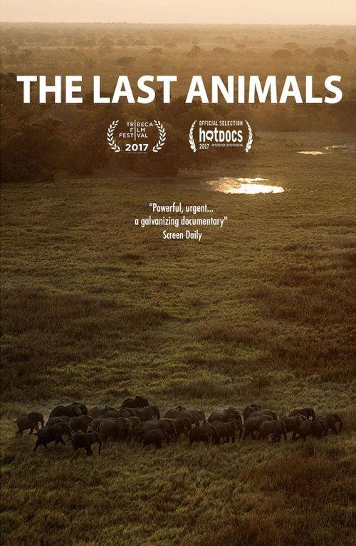Os Últimos Animais do Planeta