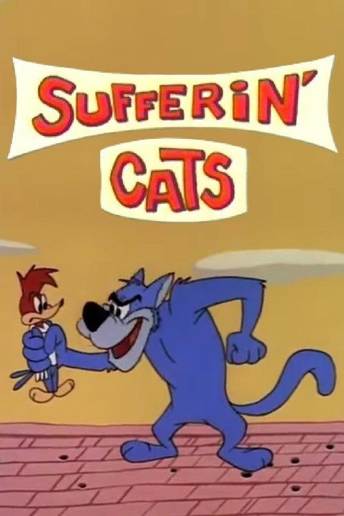 O Gato a Jato