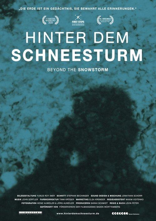 Hinter dem Schneesturm