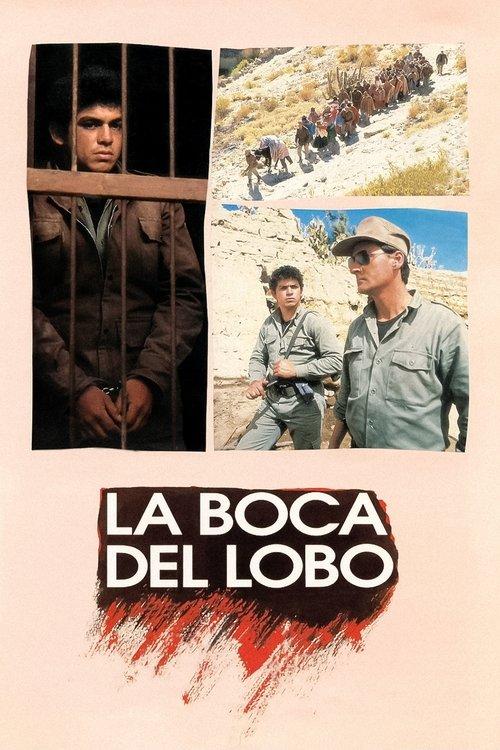A Boca do Lobo