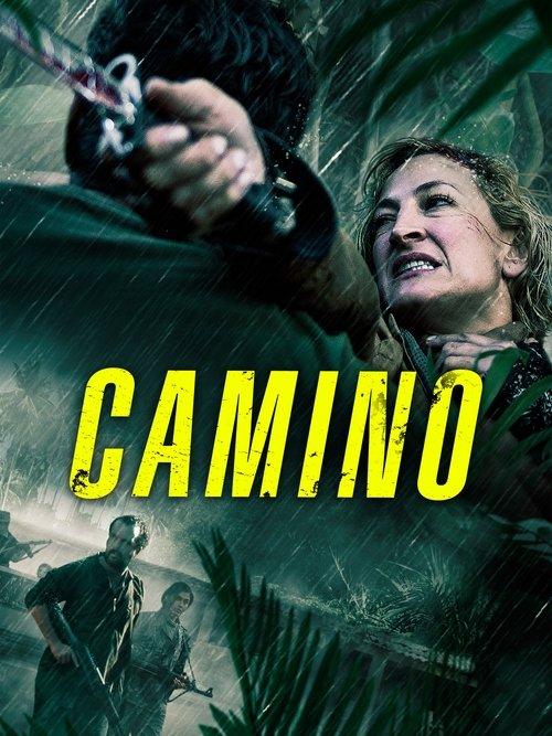 Camino