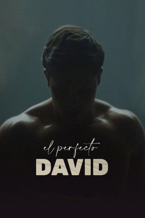 O Perfeito David