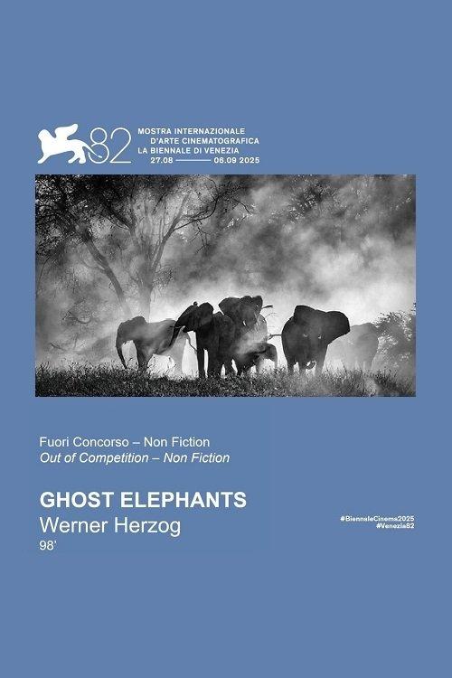 Ghost Elephants