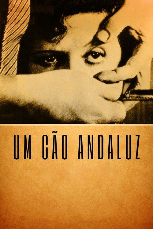 Um Cão Andaluz