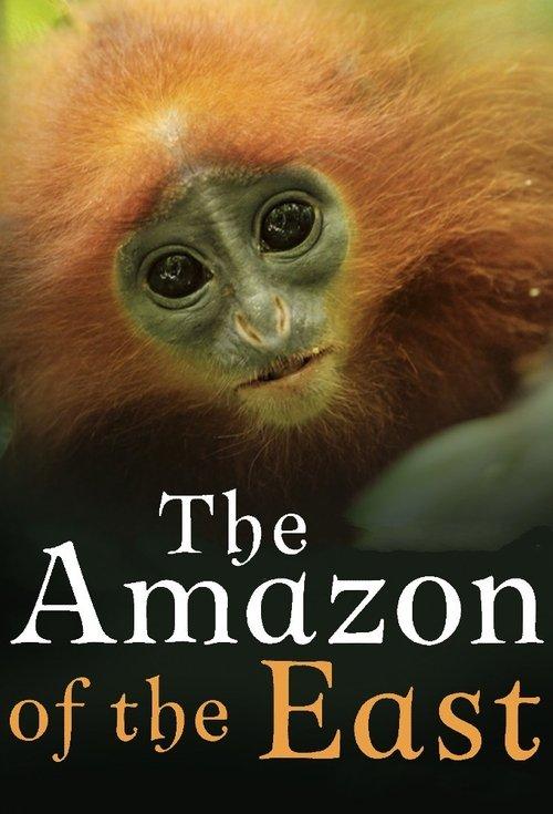 Kinabatangan: Der Amazonas des Ostens