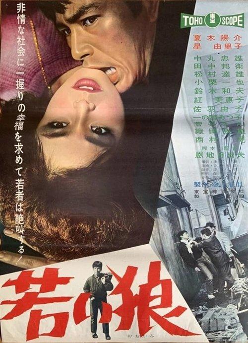 若い狼